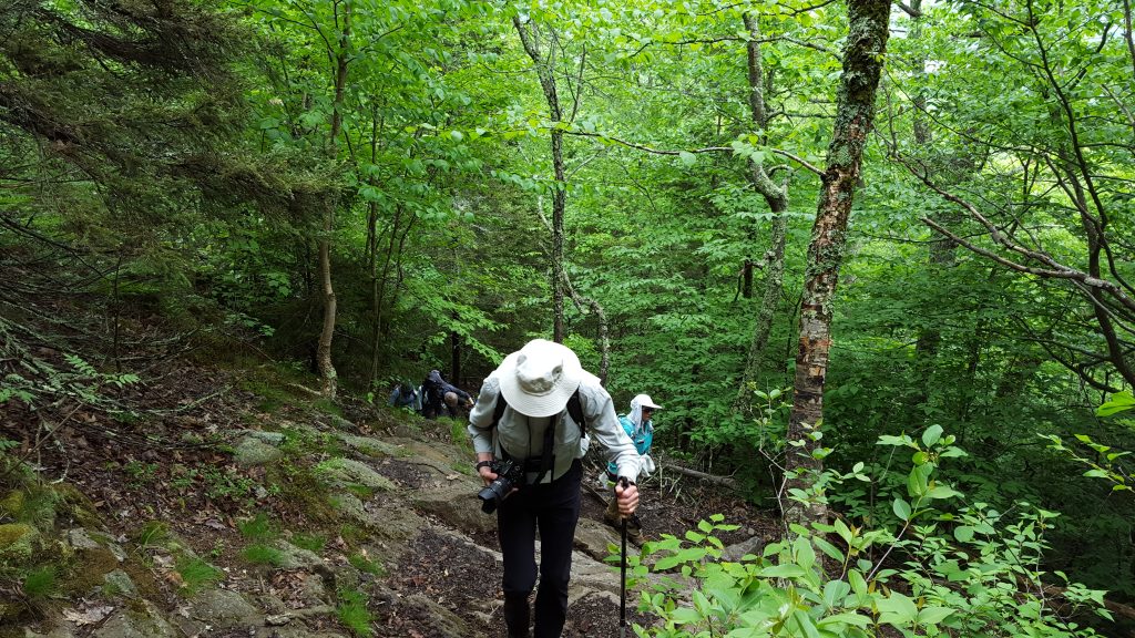 Monadnock-010-2018-06-05 Trail Steepens on the way to Monte Rosa